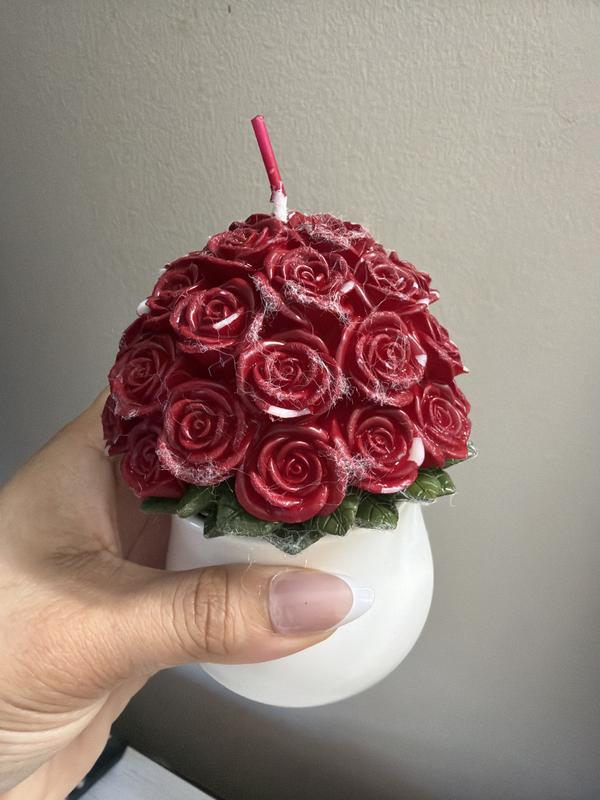 Review Thumbnail Image 0 247409791