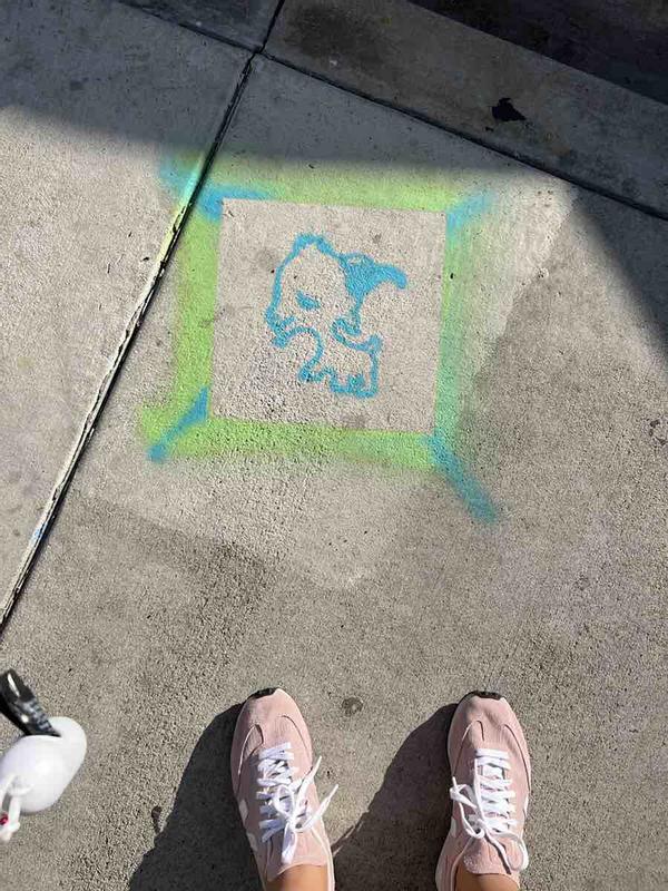 Customer photo for "Cute but small toe box"