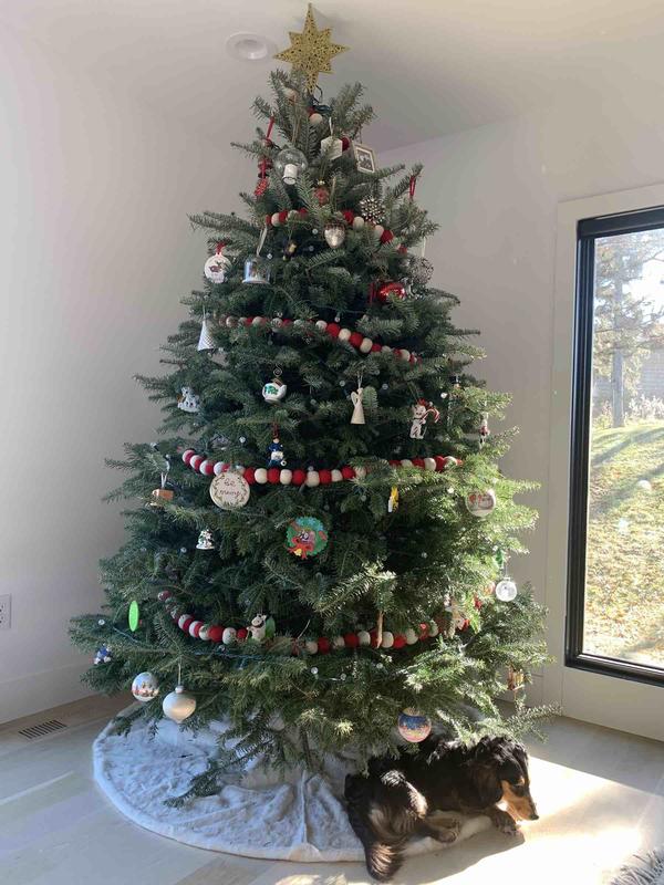 Review Thumbnail Image 0 213055308