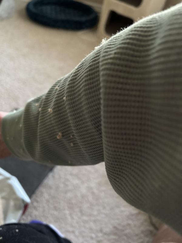 Customer photo for "Cute but the shedding…"