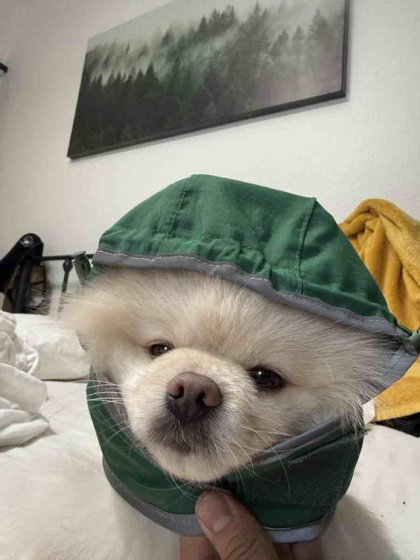 Review Thumbnail Image 0 246789872