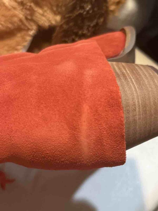 Review Thumbnail Image 1 244916859