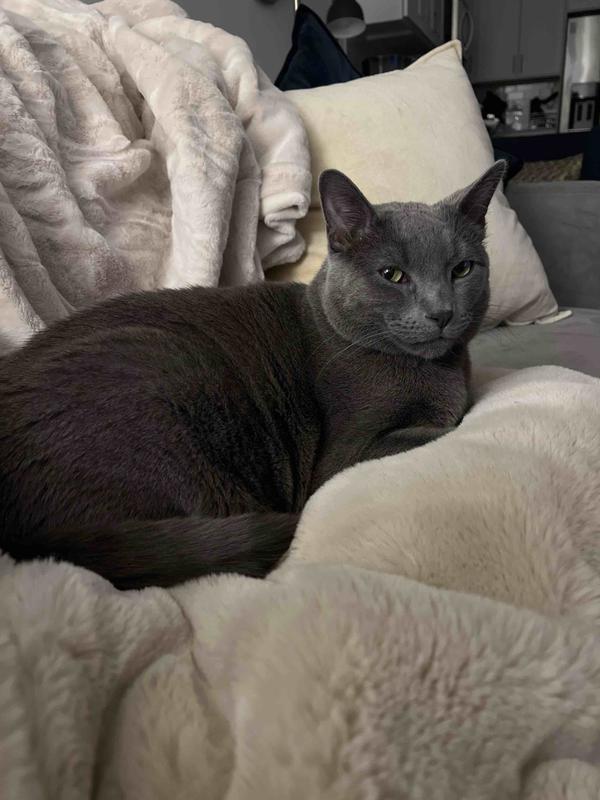 Customer photo for "Best blanket ever!"
