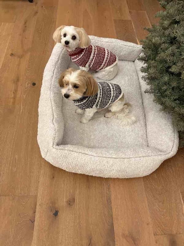 Review Thumbnail Image 0 247231938