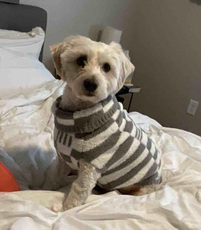 Review Thumbnail Image 0 235167242