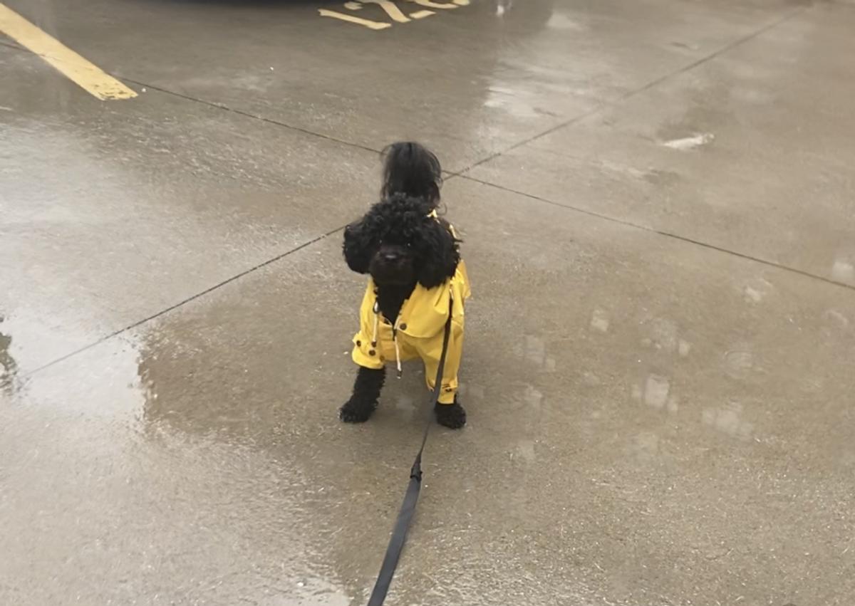 Review Thumbnail Image 0 210416170