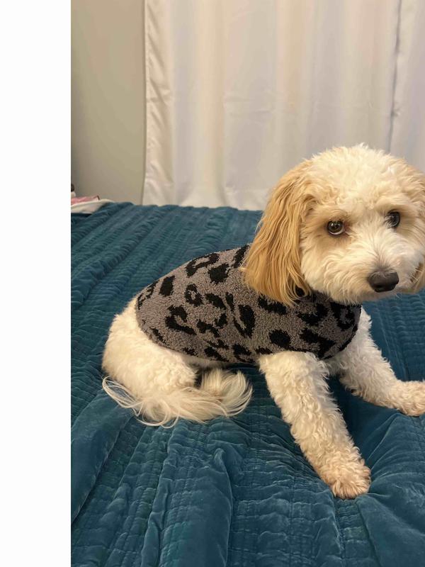 Tucker likes it (I think) ;)