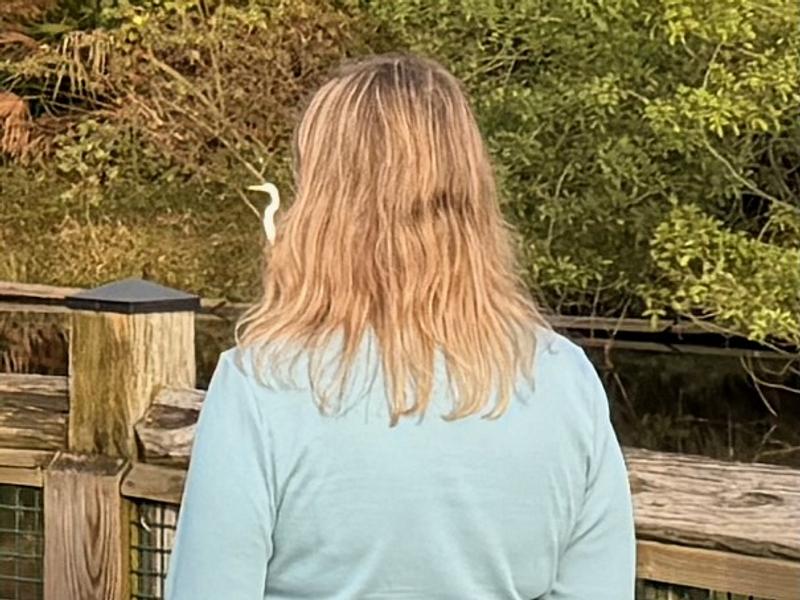 Review Thumbnail Image 0 246806702