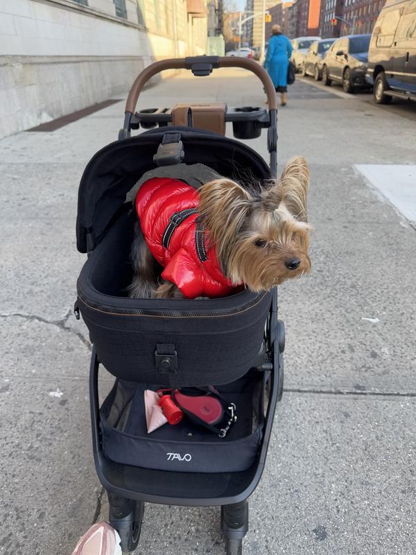 Review Thumbnail Image 1 238473386