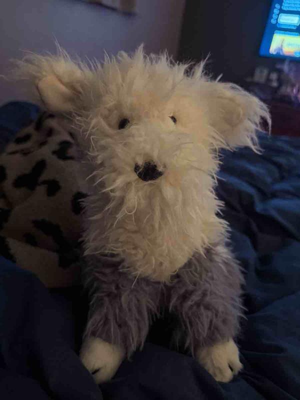 Review Thumbnail Image 0 244187808