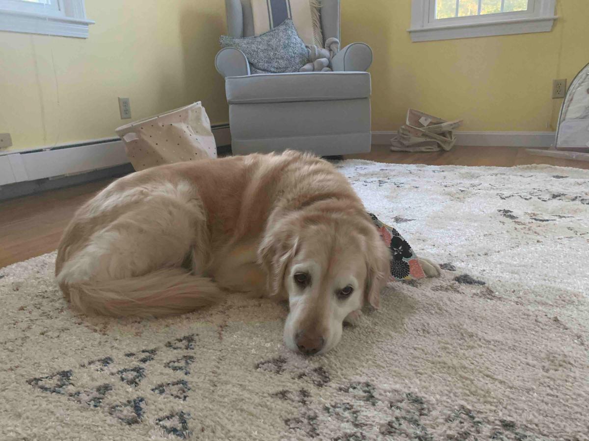 Review Thumbnail Image 2 198596621