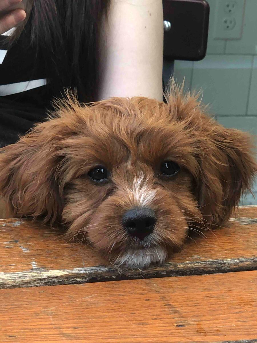 Review Thumbnail Image 2 199696739