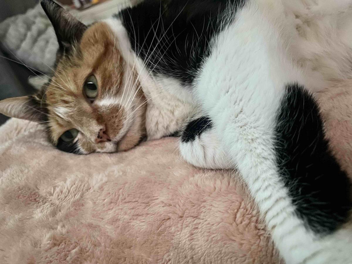 Review Thumbnail Image 0 209495961