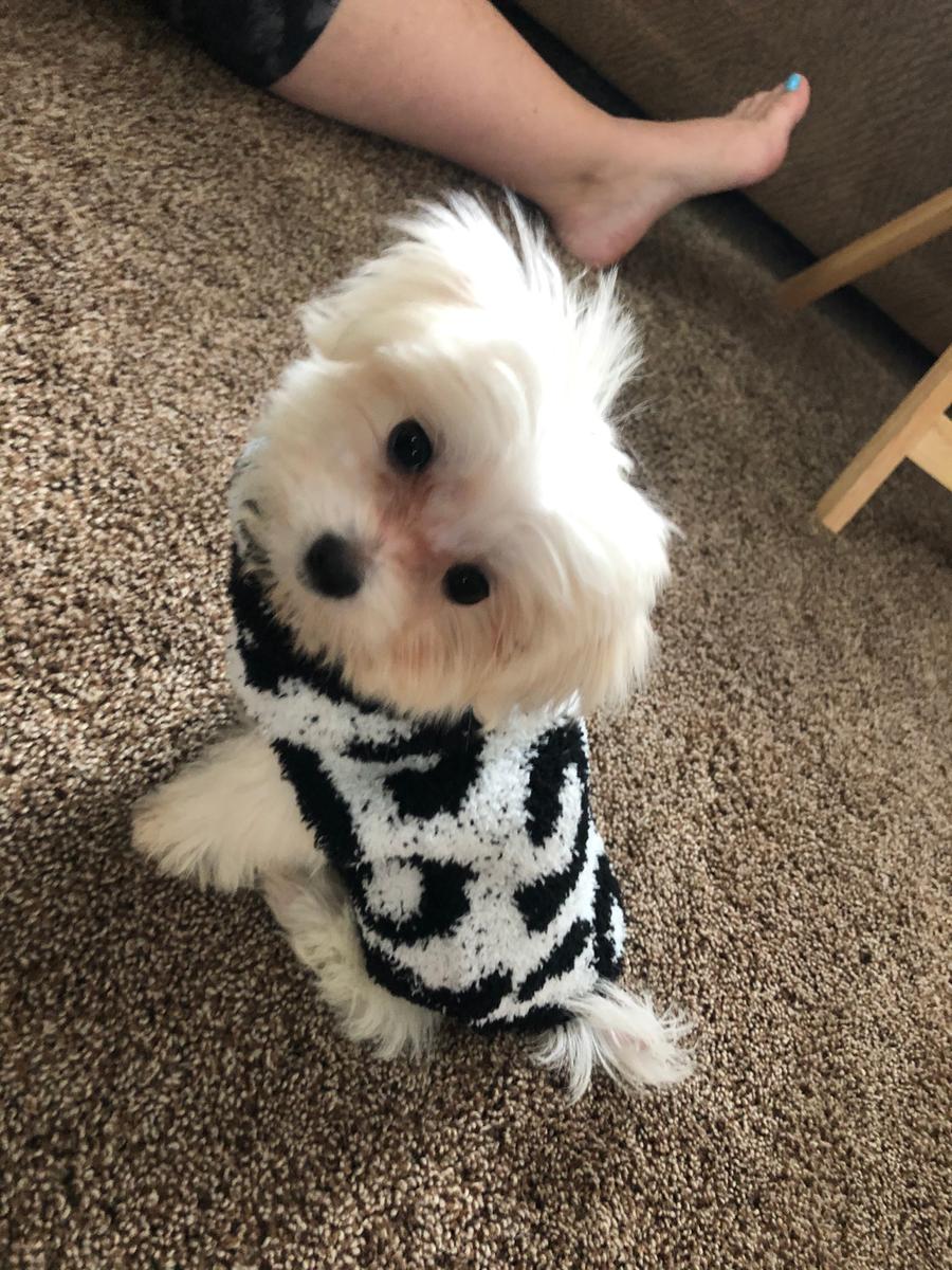 Review Thumbnail Image 1 199287859