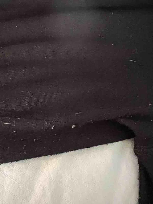 Review Thumbnail Image 3 215237789