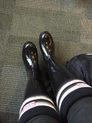 Customer photo for "Best Investment!"