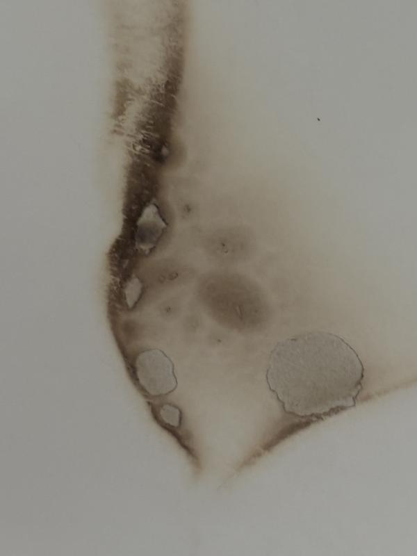 Review Thumbnail Image 0 240982058