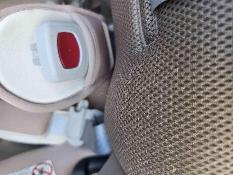 Review Thumbnail Image 1 243302585