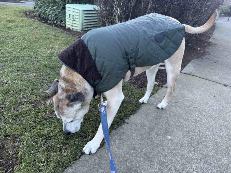 Review Thumbnail Image 0 239724908