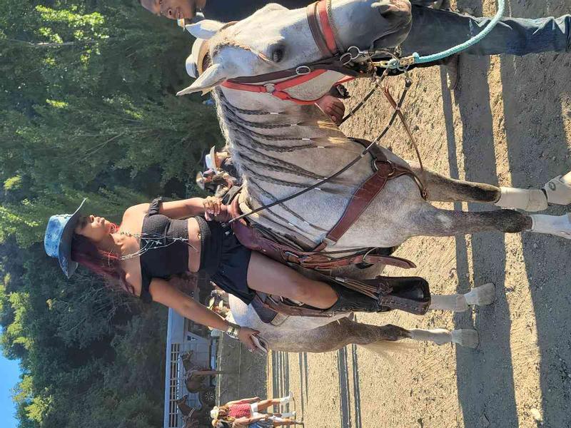 Review Thumbnail Image 2 243308665