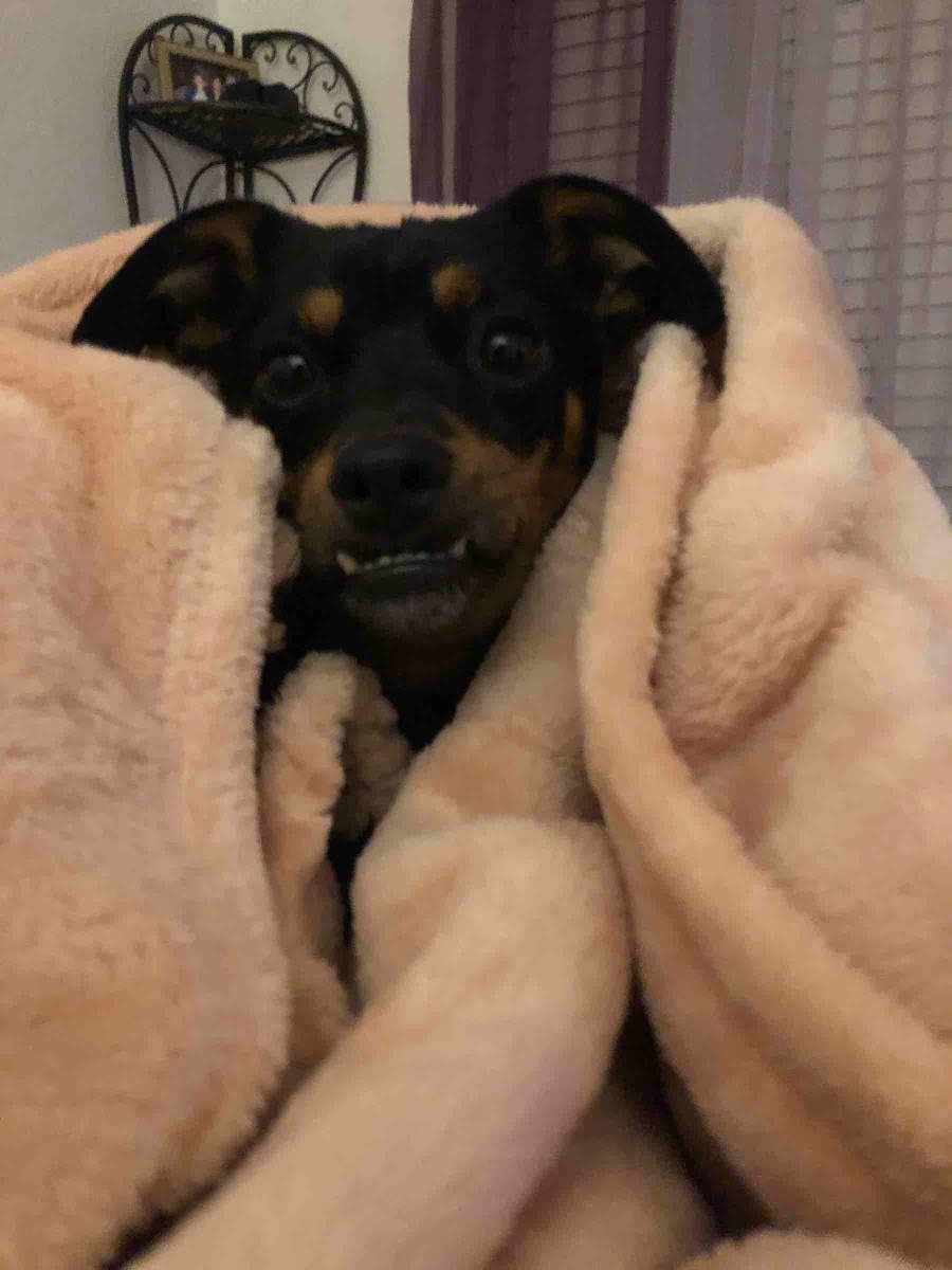 Review Thumbnail Image 0 192040064