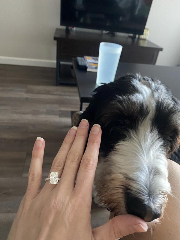 Review Thumbnail Image 2 245817177