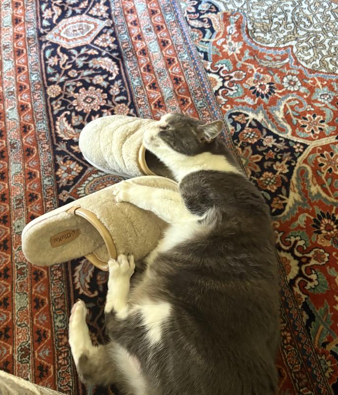 Customer photo for "So comfortable!"