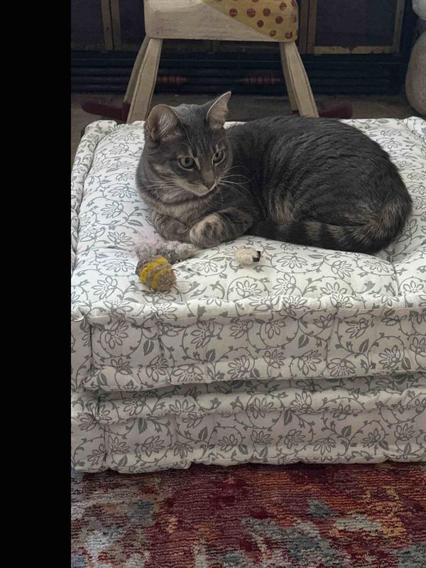 Review Thumbnail Image 0 246773132