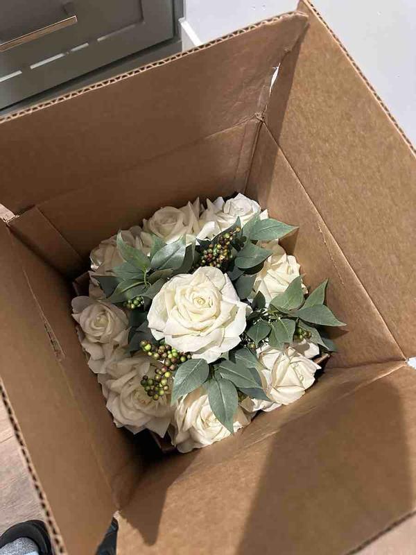 Review Thumbnail Image 1 249221812