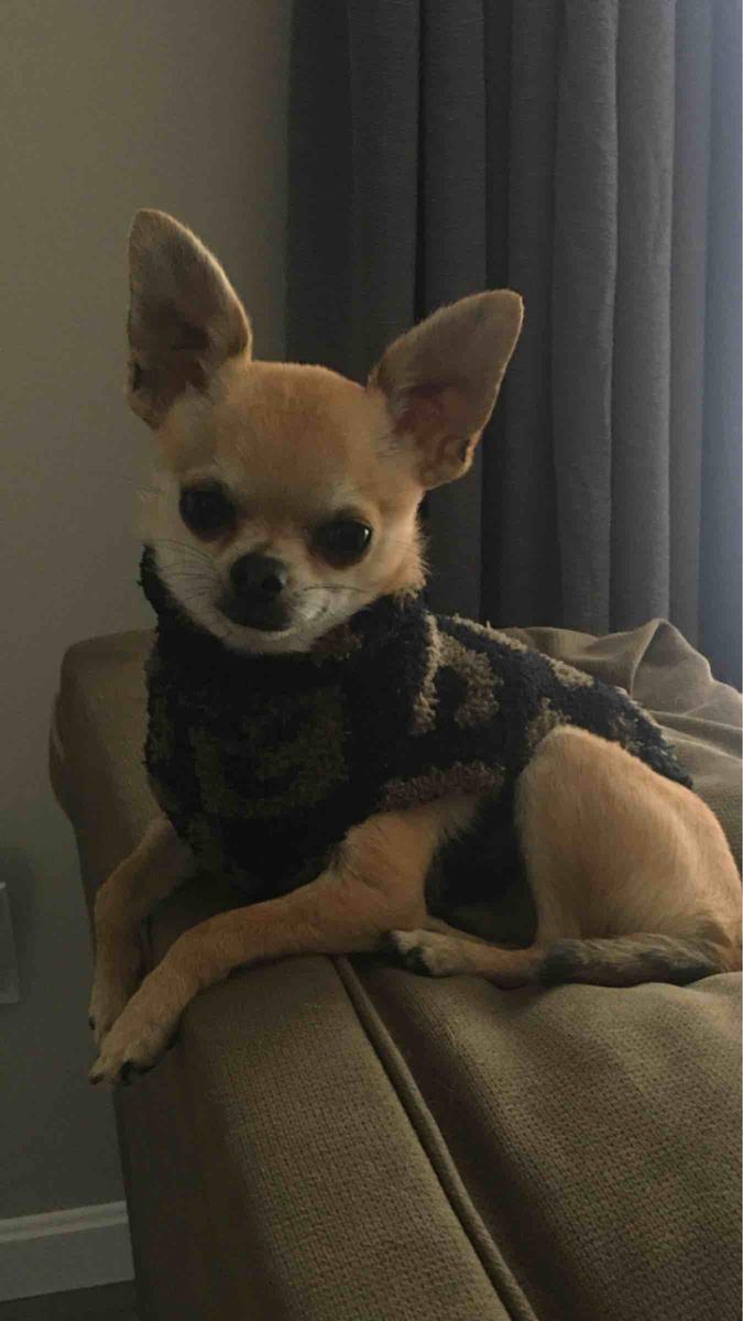 Review Thumbnail Image 0 209688064