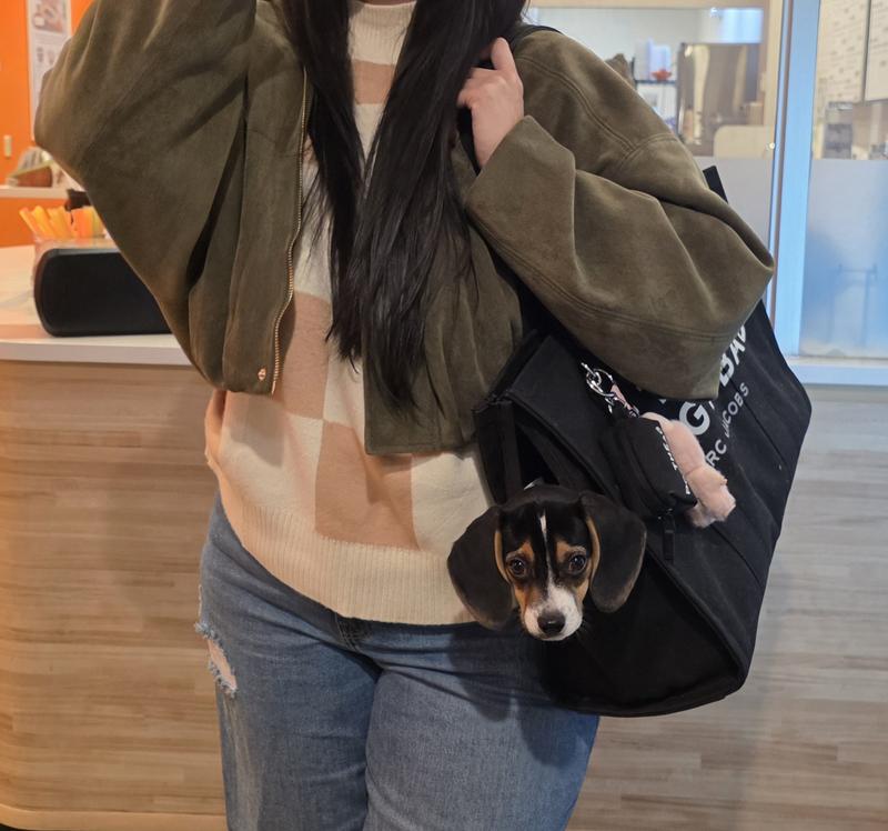 Review Thumbnail Image 0 247914901