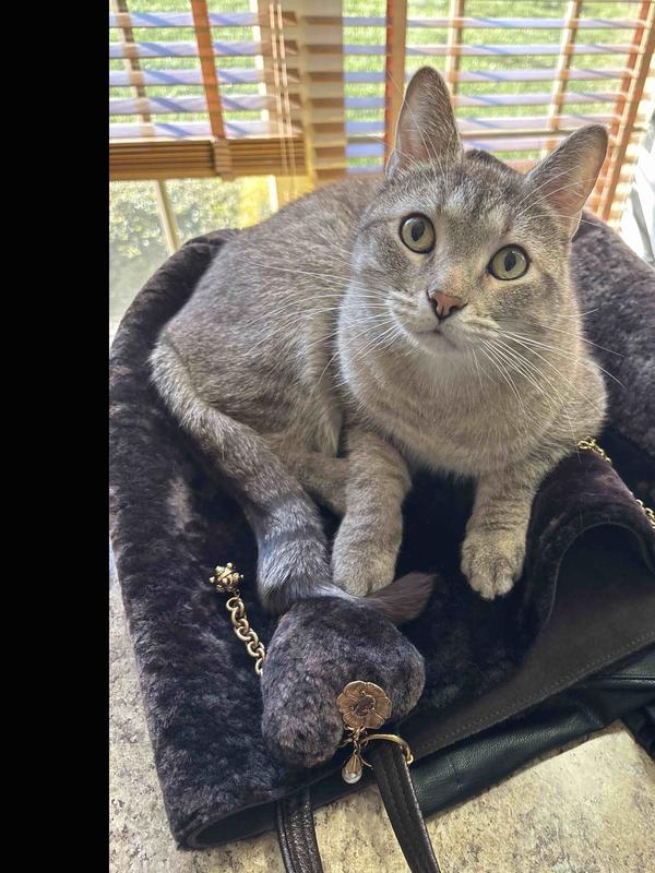 Review Thumbnail Image 0 245845105