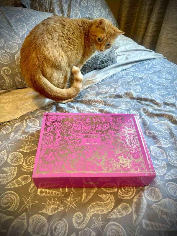 Review Thumbnail Image 1 245831666