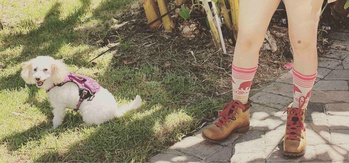 Review Thumbnail Image 2 199497801