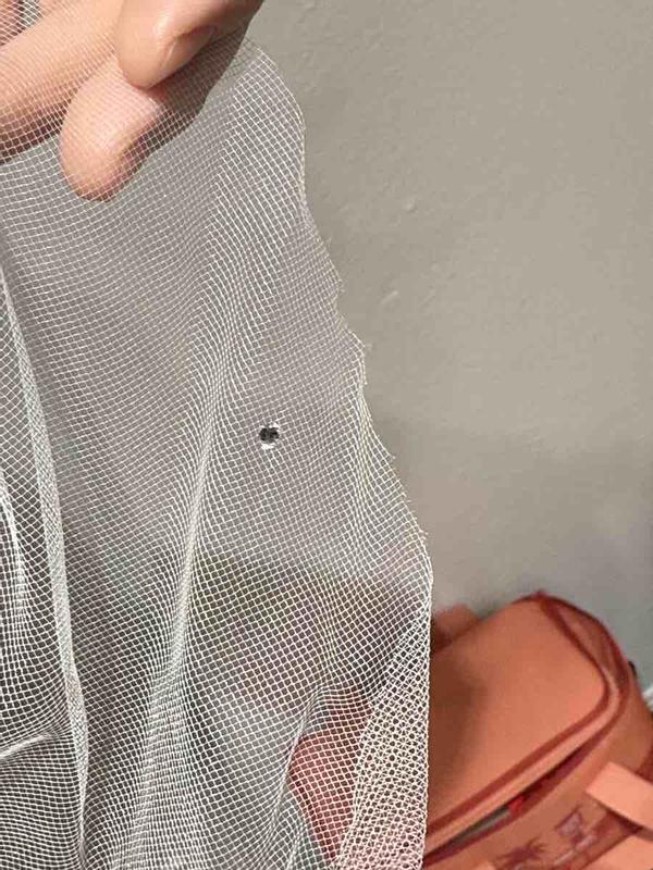 Review Thumbnail Image 0 248281628