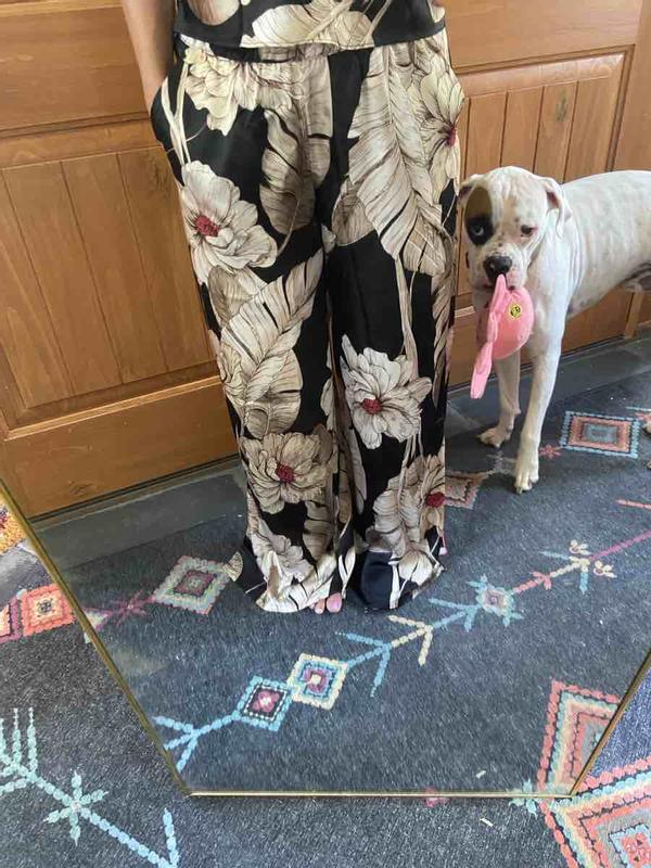 Review Thumbnail Image 0 235006691