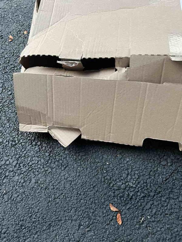 Review Thumbnail Image 1 243566469