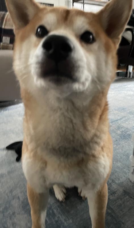 Great until it wasn’t…