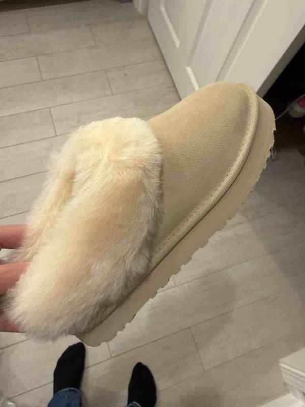 Review Thumbnail Image 0 246517397