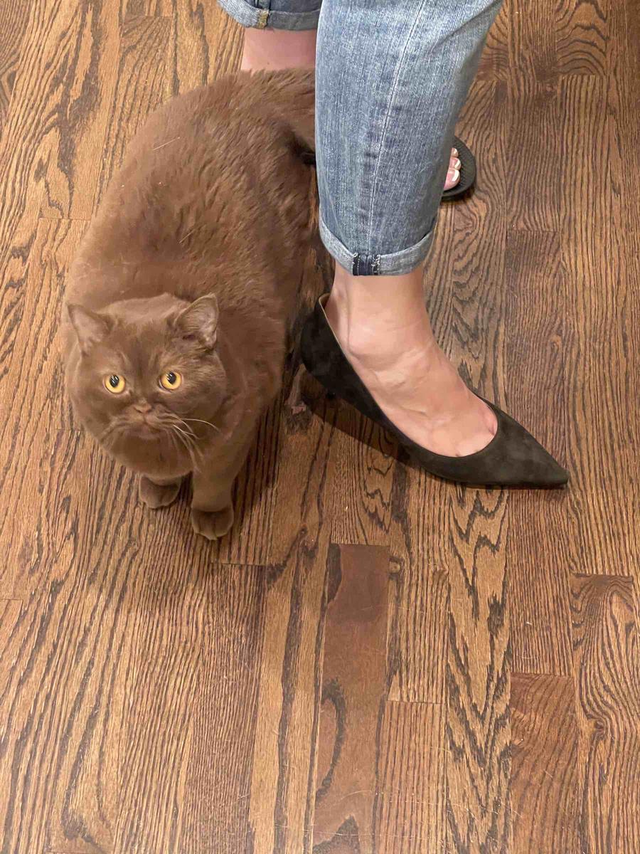 Review Thumbnail Image 0 202405732