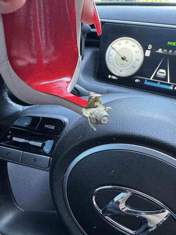 Review Thumbnail Image 0 233805378