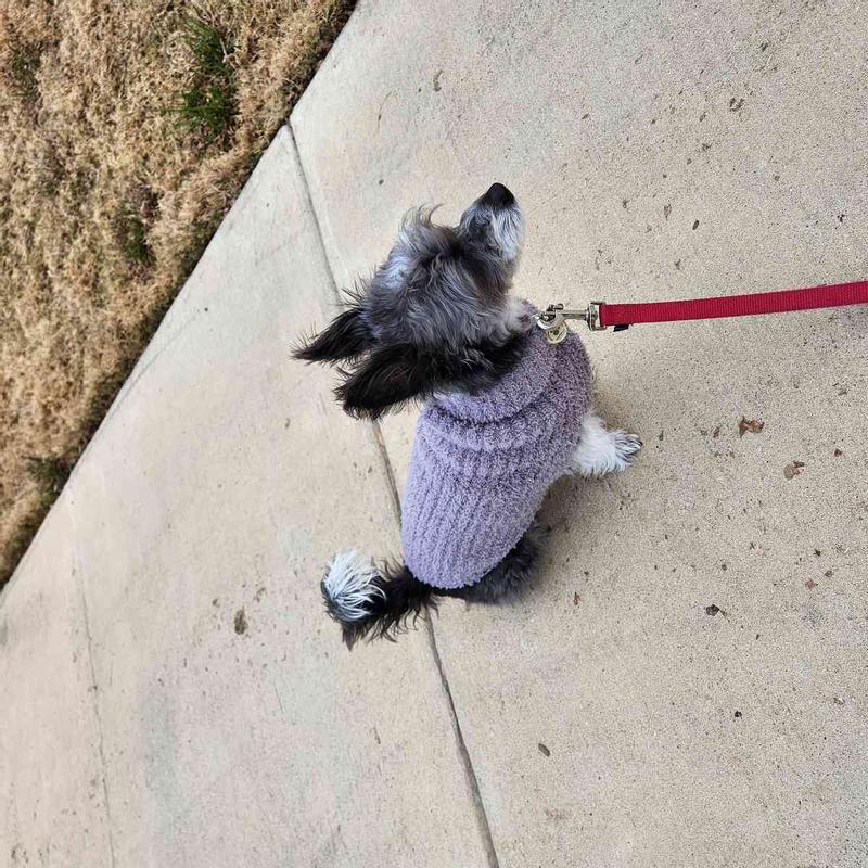 Review Thumbnail Image 0 247738865