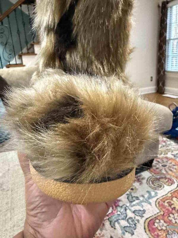 Review Thumbnail Image 0 247294315