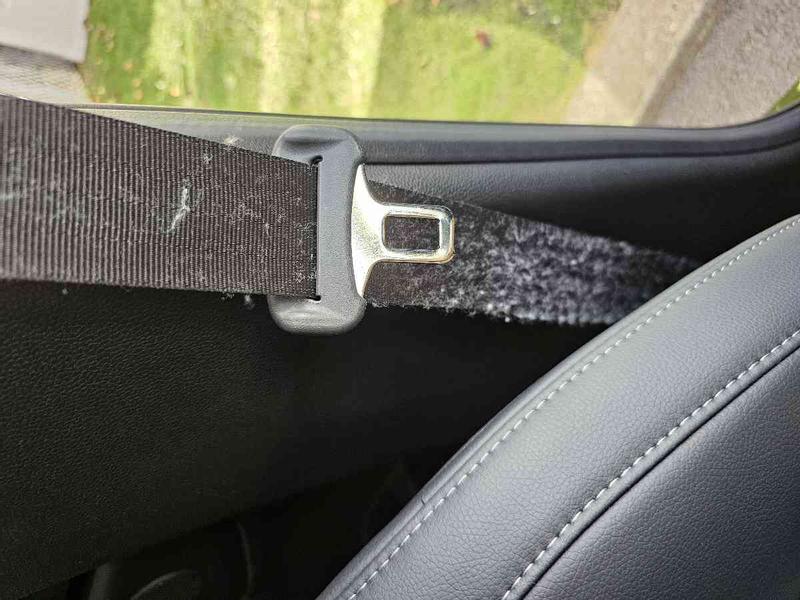 Leaves fuzzies everywhere