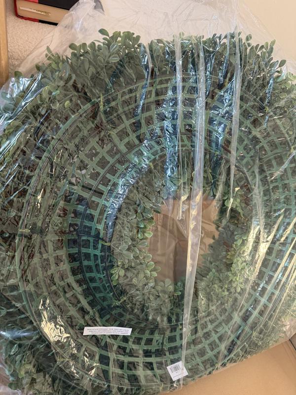 Review Thumbnail Image 0 248915292