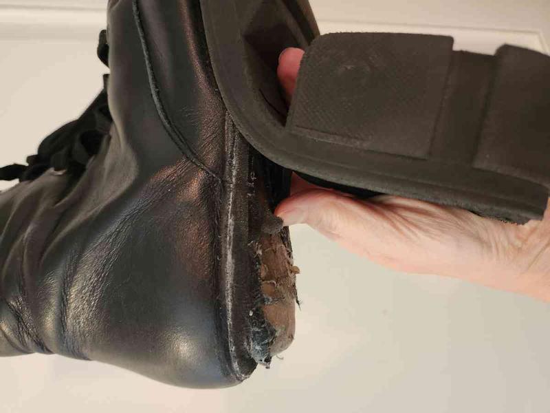 Review Thumbnail Image 0 228453504