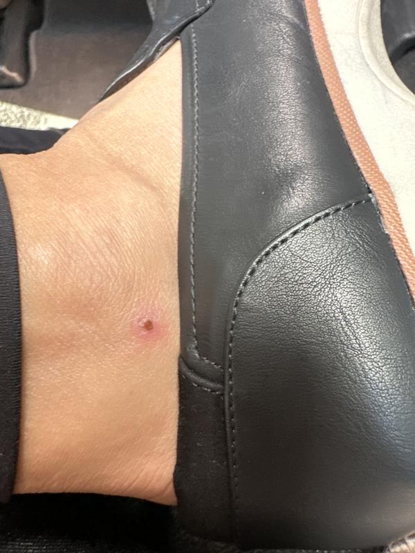 Review Thumbnail Image 0 232071024