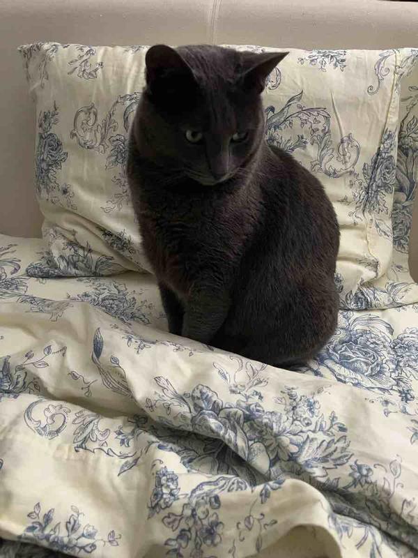 Review Thumbnail Image 0 224969891