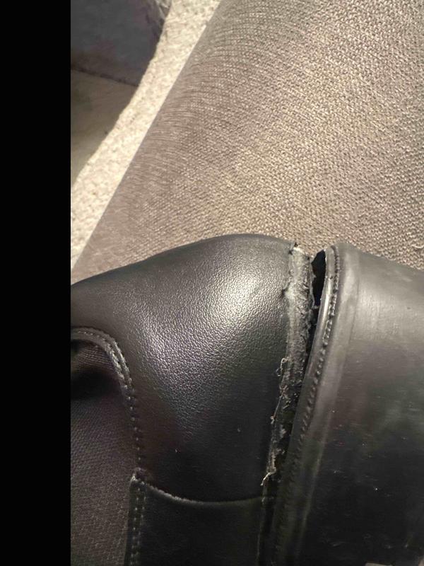 Review Thumbnail Image 0 246704534