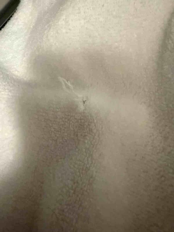 Review Thumbnail Image 1 252300385